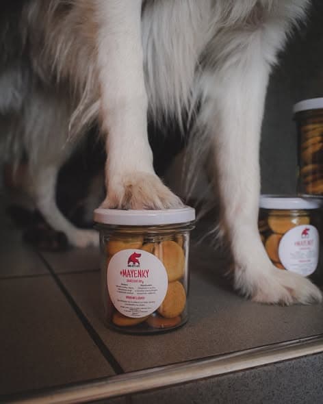 Dog with treats at OKR