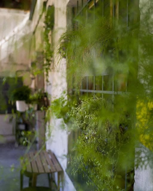 OKR hidden courtyard with greenery